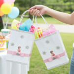 Frozen Anna Party Favor Gift Bags