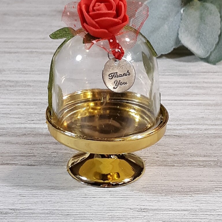 Beauty & Beast Mini Plastic Dome